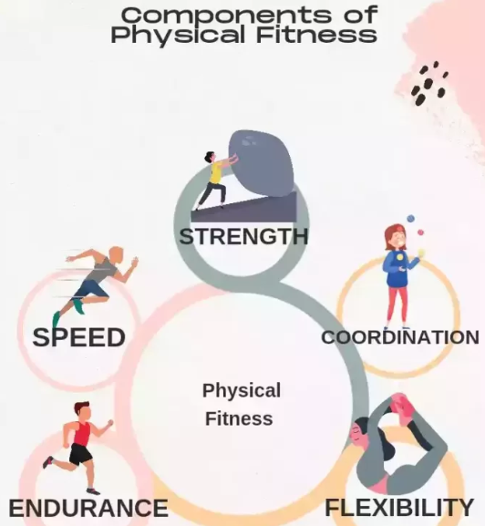Diagram of the components of physical fitness: speed, strength, coordination, endurance and flexibility